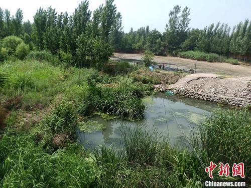 中國(guó)僑網(wǎng)圖為牤牛河治理前淤積的河道,。峰峰礦區(qū)區(qū)委宣傳部供圖