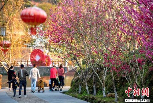 中國僑網(wǎng)游客在永春縣北溪文苑風(fēng)景區(qū)內(nèi)觀賞桃花,?!】祽c平 攝