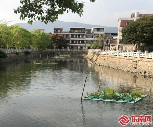 中國僑網梧塘鎮(zhèn)的西莊淡河道