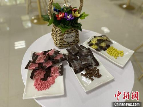 中國(guó)僑網(wǎng)中國(guó)熱帶農(nóng)業(yè)科學(xué)院科研團(tuán)隊(duì)研發(fā)的巧克力新產(chǎn)品,?!》钊骸z