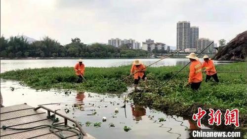中國僑網(wǎng)“清漂”行動現(xiàn)場,。(資料圖) 廣東省河長辦供圖