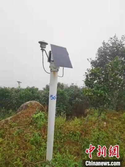 中國僑網(wǎng)布置在廣東潮州鳳凰山天池茶園內(nèi)的傳感器設(shè)備?!∈茉L者提供