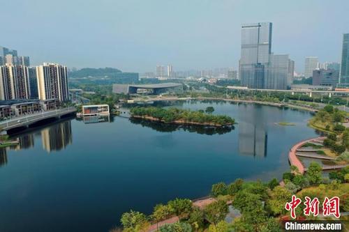 中國(guó)僑網(wǎng)廣州南沙(資料圖) 南沙區(qū)政府 供圖