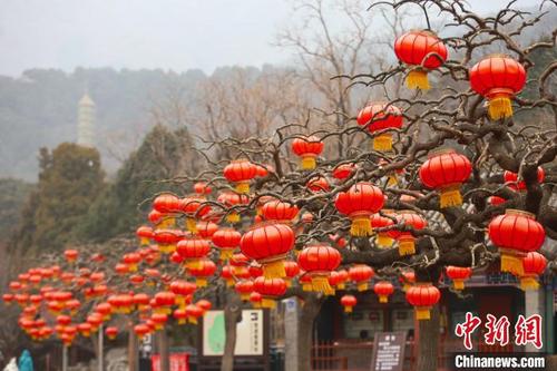中國(guó)僑網(wǎng)圖為香山公園環(huán)境布置,?!”本┦泄珗@管理中心供圖
