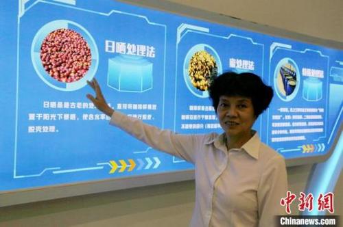 中國(guó)僑網(wǎng)圖為黃海文介紹咖啡豆的處理方式?!》钊骸z