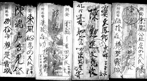中國僑網