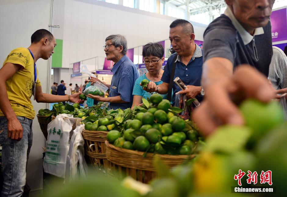 臺灣貴妃青橙受到市民熱捧