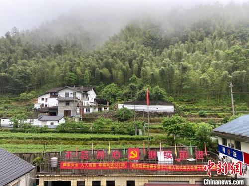中國僑網(wǎng)龍泉巖樟鄉(xiāng)的綠水青山?!№椵肌z