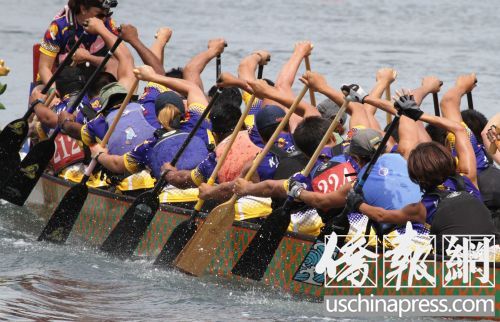 參賽隊員在奮力向前劃水,。(美國《僑報》/邱晨