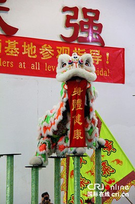 中國僑網(wǎng)舞獅表演,。