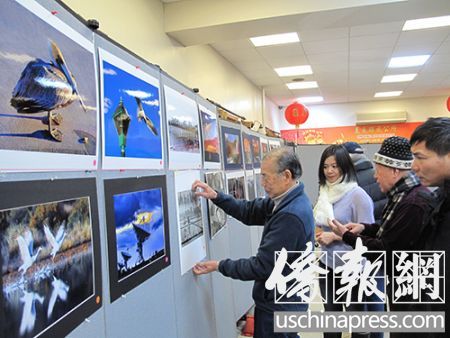 中國(guó)僑網(wǎng)成立已11年的美國(guó)藝術(shù)攝影家協(xié)會(huì),今后在美東聯(lián)成公所安家。圖為攝影愛(ài)好者參觀展出的作品。(美國(guó)《僑報(bào)》/葉永康 攝)