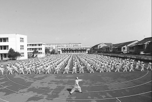 中國僑網(wǎng)夏寶峰在五鄉(xiāng)中心小學帶領(lǐng)學生們練內(nèi)家拳,。