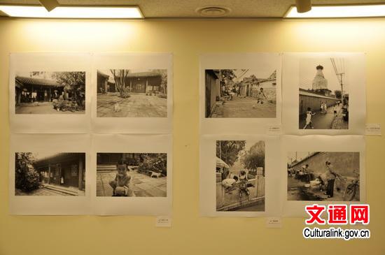 中國僑網(wǎng)參展作品,。
