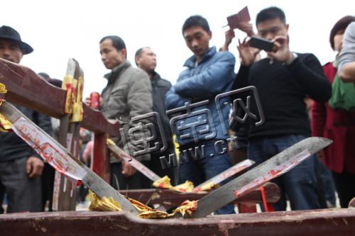 中國(guó)僑網(wǎng)陳福興老人坐在滿是刀片架的座位上,。