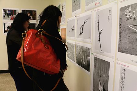 中國僑網(wǎng)攝影愛好者們品鑒作品,。(美國《僑報》/蘇夏竹 攝)
