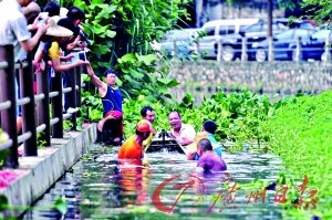 中國僑網(wǎng)七名壯漢協(xié)助老龍出水,。(張宇杰 攝)