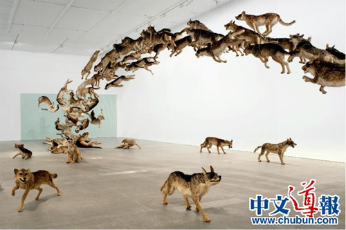 中國僑網(wǎng)《撞壁》 (日本《中文導報》)