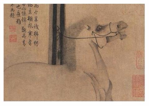 唐代韓干《照夜白圖》局部。(資料圖)