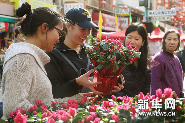 1月30日,,在美國舊金山,三名女子在年宵花巿上選購鮮花,。(新華社/劉藝霖