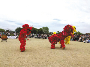 圖為梅山舞獅隊(duì)在日本奈良演出,。(由梅山舞獅隊(duì)供圖)