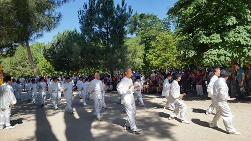 太極表演,。(西班牙《歐華報(bào)》)