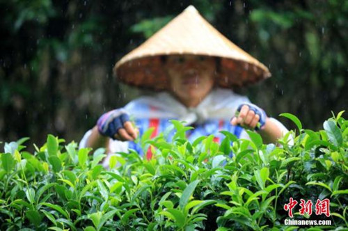 (資料圖:中新網(wǎng)記者譚凱興