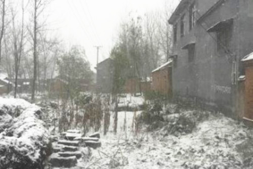 中國僑網(wǎng)“小雪”當日早上,,豐縣沛縣等地農(nóng)村已經(jīng)大面積積雪,?!≈熘靖?攝