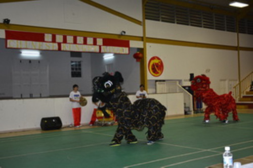 中國僑網(wǎng)