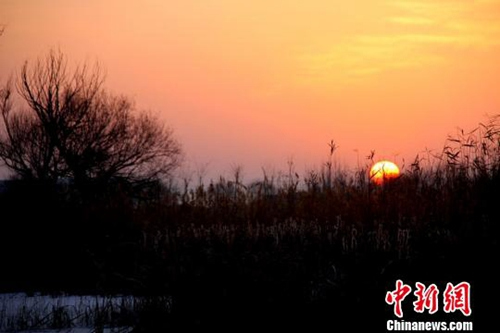 中國僑網(wǎng)(資料圖:中新網(wǎng)記者陳禮 攝)