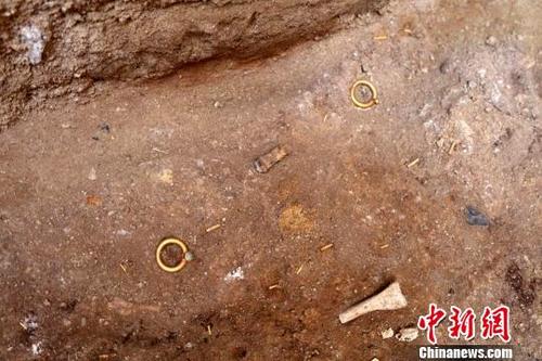 中國僑網(wǎng)大型墓葬主墓室出土的金飾件。 陜西省考古研究院