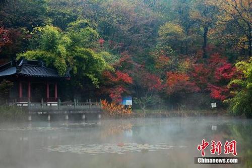 中國(guó)僑網(wǎng)中新網(wǎng)資料圖