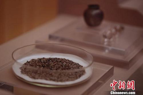 中國(guó)僑網(wǎng)3月10日,,“千年古港——上海青龍鎮(zhèn)遺址考古展”在上海博物館正式對(duì)外開放,,感應(yīng)舍利等百余件青龍鎮(zhèn)遺址出土的文物精品在此間展出,?!埡鄠ァz