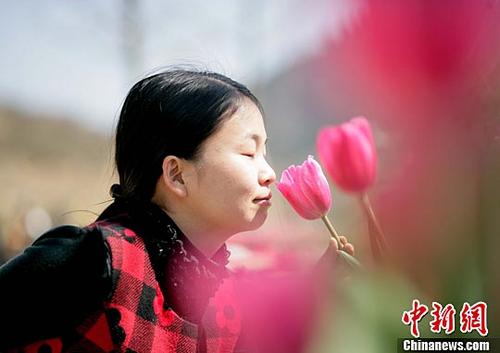 中國僑網(wǎng)資料圖(中新社記者 張暉 攝)