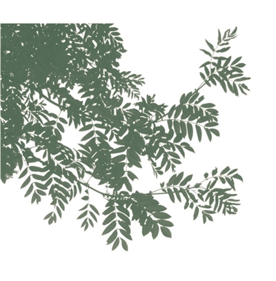 中國(guó)僑網(wǎng)