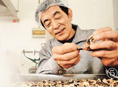 中國(guó)僑網(wǎng)于葆墀在去除枳殼的瓤,。 本報(bào)記者 賀勇攝