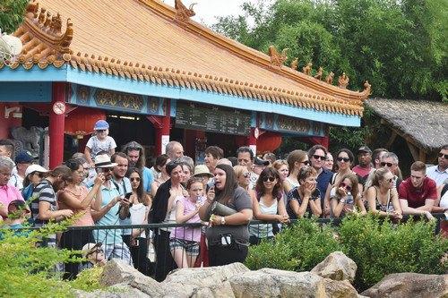 中國僑網(wǎng)資料圖片:8月5日,在法國博瓦勒野生動(dòng)物園,,游客聽工作人員介紹熊貓“媽媽”歡歡和幼崽的最新狀況,。新華社記者 李根興 攝