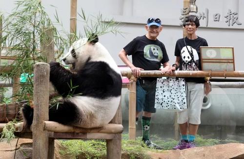 中國(guó)僑網(wǎng)威廉(左)和卡羅姆特地從曼谷飛到吉隆坡探望“暖暖”,他們對(duì)熊貓的熱愛(ài)讓他們對(duì)熊貓保育貢獻(xiàn)一份力量,,也因此結(jié)交了來(lái)自世界各地的熊貓愛(ài)好者,。(馬來(lái)西亞《星洲日?qǐng)?bào)》)
