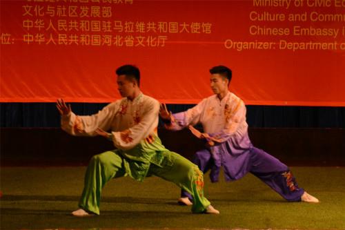 中國僑網(wǎng)武術(shù)表演,。