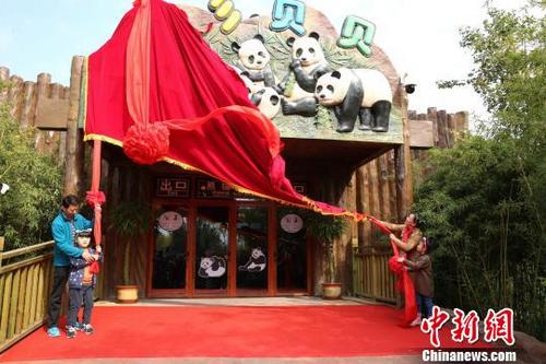 中國(guó)僑網(wǎng)濟(jì)南野生動(dòng)物世界熊貓館26日開(kāi)館。圖為開(kāi)館儀式?!m玥雯 攝