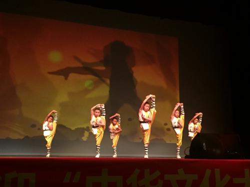中國僑網(wǎng)武術表演《少林童子功》,,令觀眾叫絕,。(美國《世界日報》記者董宇/攝影)