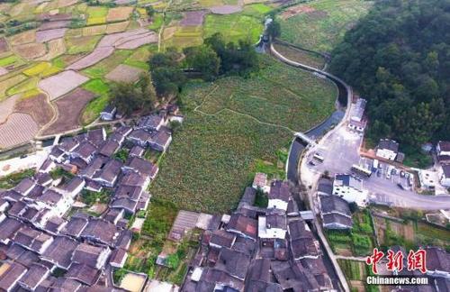 中國僑網(wǎng)資料圖:俯瞰航拍江西婺源田園上的進(jìn)士村——嚴(yán)田古村,,這里從宋自清出了共二十七名進(jìn)士,。劉占昆 攝