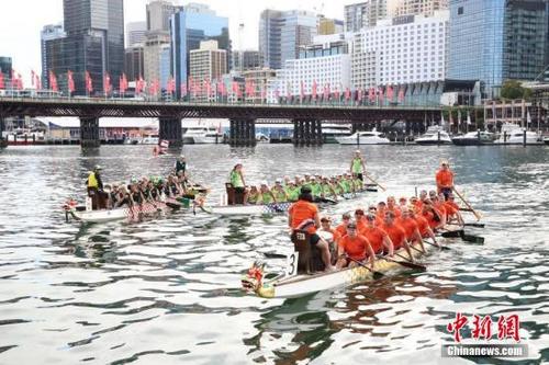 中國僑網(wǎng)2月24日,悉尼達(dá)令港舉行龍舟賽,,吸引3000多名參賽者,,為中國農(nóng)歷新年佳節(jié)添彩。圖為參賽龍舟隊在比賽中,。 中新社記者 陶社蘭 攝