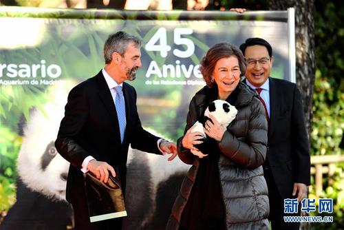 中國僑網(wǎng)2月23日,西班牙王后索菲亞(中)在馬德里動物園出席簽約儀式時(shí)懷抱熊貓玩具,。新華社記者郭求達(dá) 攝