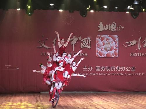中國僑網(wǎng)資料圖,。四海同春現(xiàn)場,。來源:人民網(wǎng)