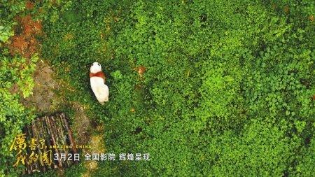 中國僑網(wǎng)《厲害了,,我的國》中還可以看到國寶熊貓,、川劇“變臉”等四川文化符號。
