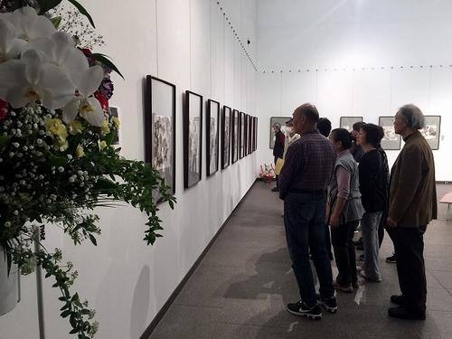 中國僑網(wǎng)畫展現(xiàn)場,。(日本《中文導(dǎo)報》)