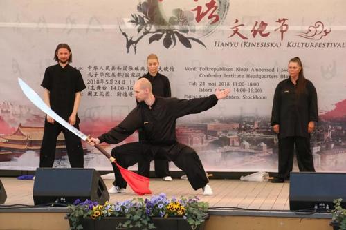 中國(guó)僑網(wǎng)活動(dòng)現(xiàn)場(chǎng)武術(shù)表演,。