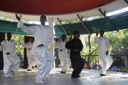 中國僑網(wǎng)武術(shù)表演,。