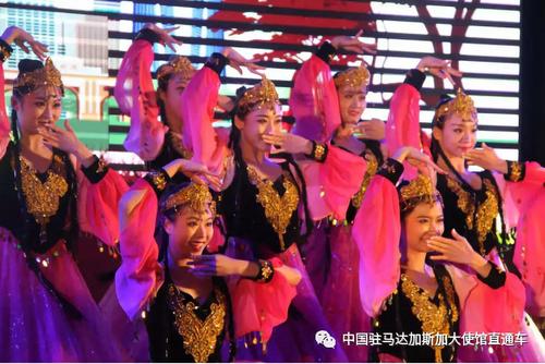中國僑網(wǎng)演出現(xiàn)場,。