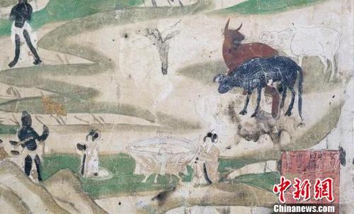 中國(guó)僑網(wǎng)8月7日,敦煌研究院梳理解讀了敦煌石窟文獻(xiàn)中古人吃秋食的養(yǎng)生之道,。圖為莫高窟第61窟的《村女獻(xiàn)乳》(五代),。由鮮奶濃縮發(fā)酵而來(lái)的奶酪也不是西方人的專利,,唐代敦煌的僧人和上層貴族就經(jīng)常食用,。敦煌研究院供圖